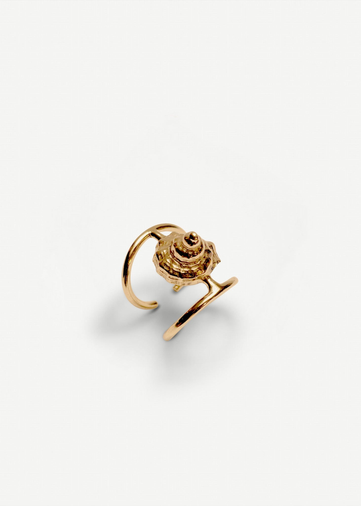 Shell Ring - Sample - 1