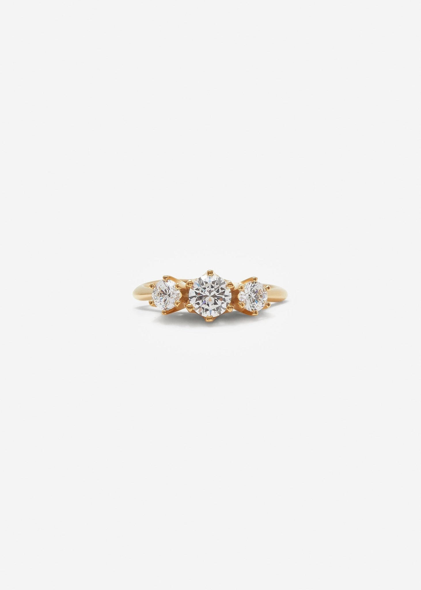 Trinity Ring Scaled - Customised - 3